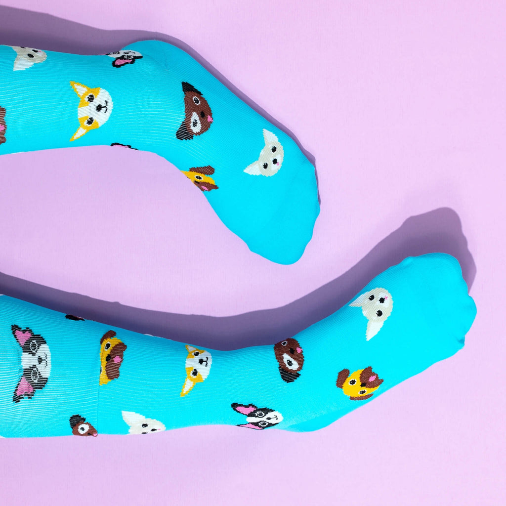 Teal knee high compression socks with dog pattern